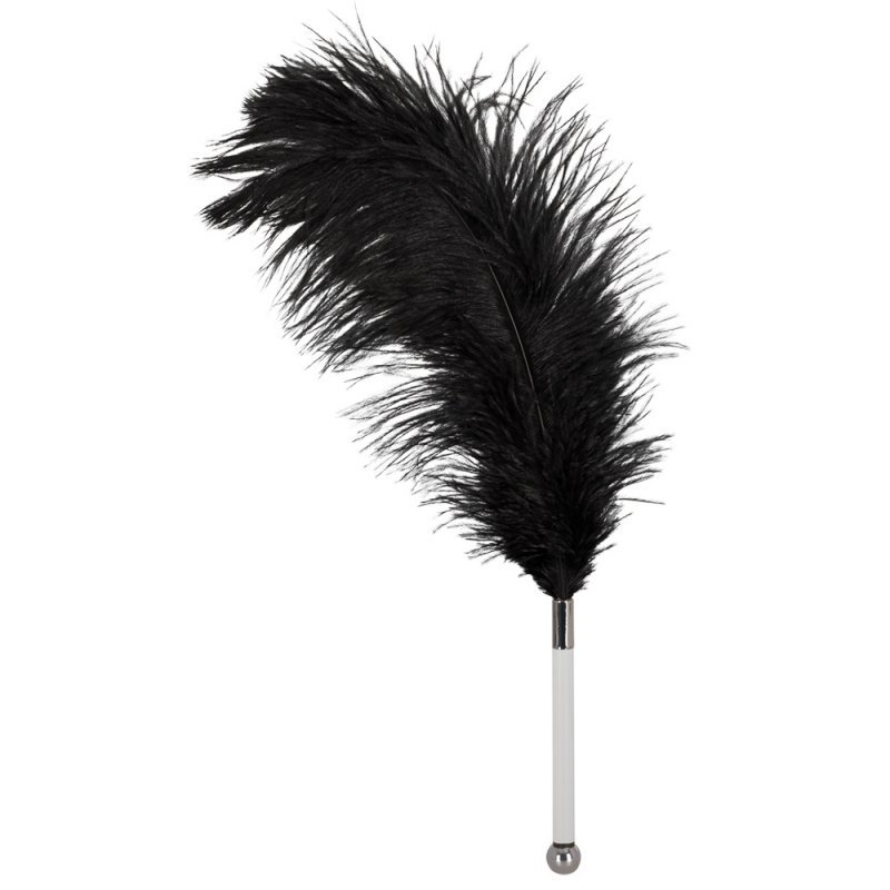 Feather black acrylic Bad Kitty