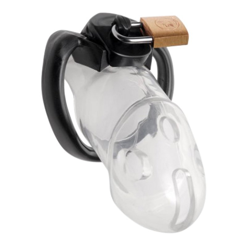 Rikers Locking Chastity Cage Master Series