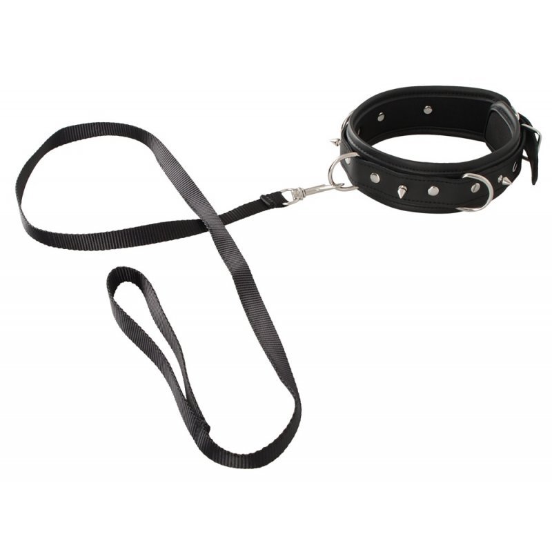 Collar vegan Vegan Fetish