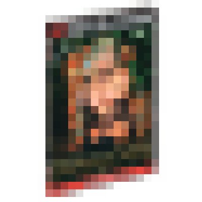 DVD Dark Woods