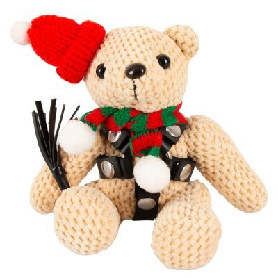 Teddy Winter Edition