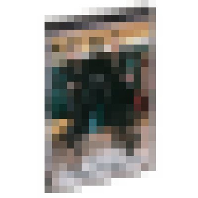 Sklave der Gummigöttinnen