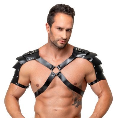 Leather Harness
